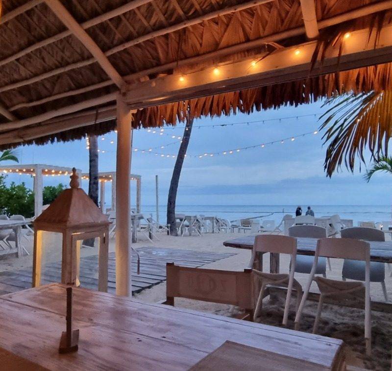 Estrella del mar — foto 11