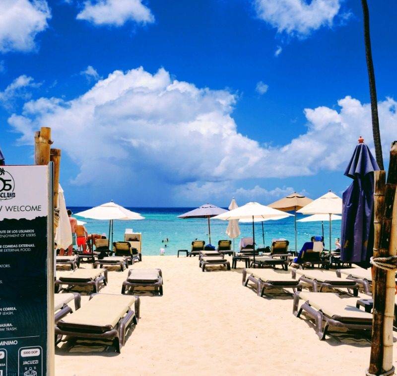 Estrella del mar — foto 3
